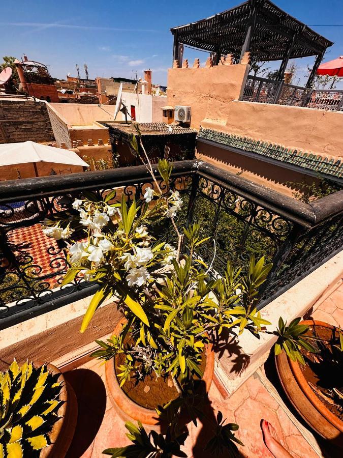 Riad Msholidays Bassin Privatise Marrakech Marrakesh Eksteriør bilde